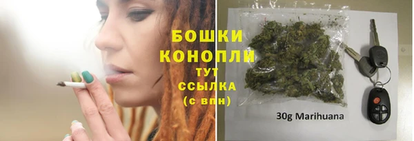 PSILOCYBIN Волосово