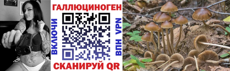 Галлюциногенные грибы MAGIC MUSHROOMS Касимов